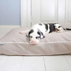 Outlet 👏 Dog Cushion in Savanna Oatmeal by Lords & Labradors 🔥 -Lords & Labradors Sales dog cushion in oatmeal savannah by lords labradors lifestyle close up