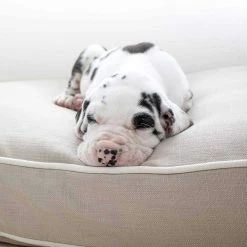 Outlet 👏 Dog Cushion in Savanna Oatmeal by Lords & Labradors 🔥 -Lords & Labradors Sales dog cushion in oatmeal savannah by lords labradors puppy