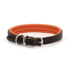 Deals 🌟 Dogs & Horses Colours Leather Collar ✔️ -Lords & Labradors Sales dogs and horses colours leather collar brown and orange