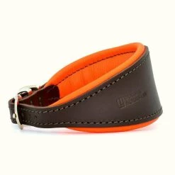 Best Pirce 🥰 Dogs & Horses Leather Hound Collar 🧨 -Lords & Labradors Sales dogs and horses leather hound collar brown and orange