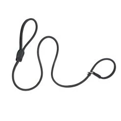 Best deal ๐ Dogs & Horses Rolled Leather Slip Lead ๐