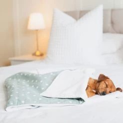 Best reviews of 💯 Dog & Puppy Blanket By Lords & Labradors - Spots & Stripes Collection ✔️