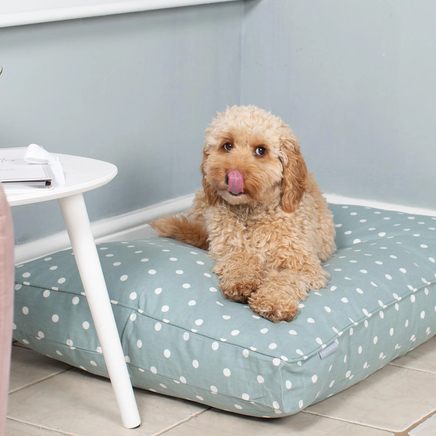 Hot Sale ❤️ Dog Cushion in Duck Egg Spot by Lords & Labradors 🥰 3 Hot Sale ❤️ Dog Cushion in Duck Egg Spot by Lords & Labradors 🥰 - Image 3