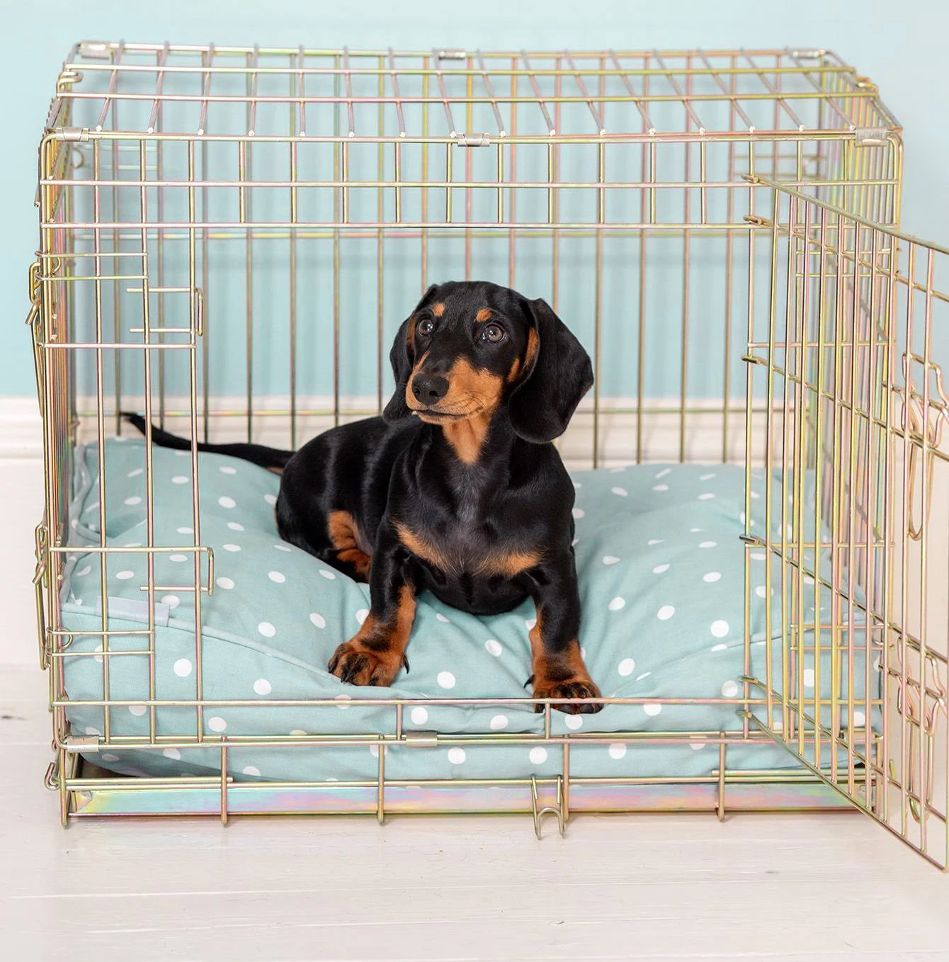 Best Sale 🥰 Personalised 🐕 Dog Cushion in Duck Egg Spot by Lords & Labradors ❤️ 2 Best Sale 🥰 Personalised 🐕 Dog Cushion in Duck Egg Spot by Lords & Labradors ❤️ - Image 2