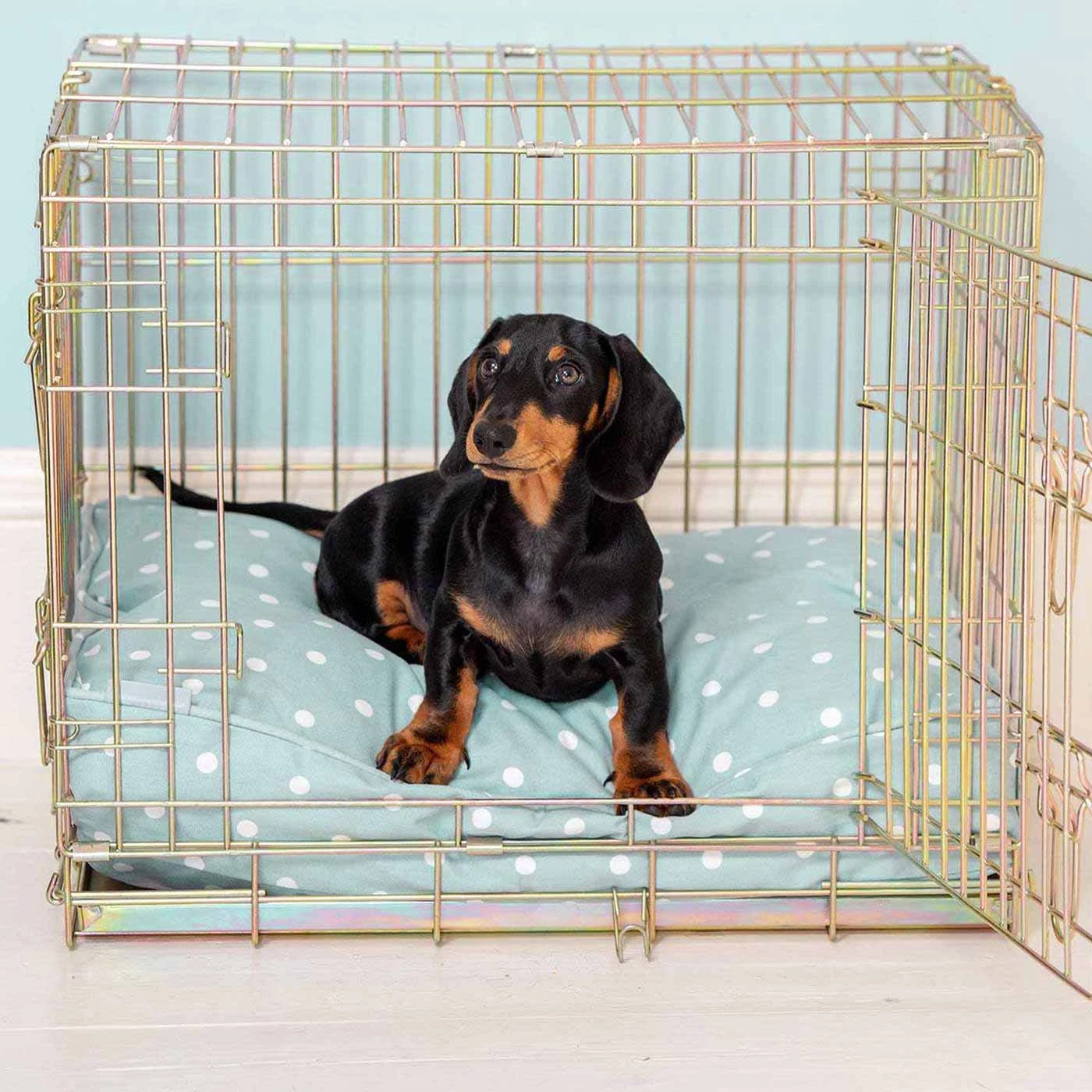 Hot Sale ❤️ Dog Cushion in Duck Egg Spot by Lords & Labradors 🥰 1 Hot Sale ❤️ Dog Cushion in Duck Egg Spot by Lords & Labradors 🥰