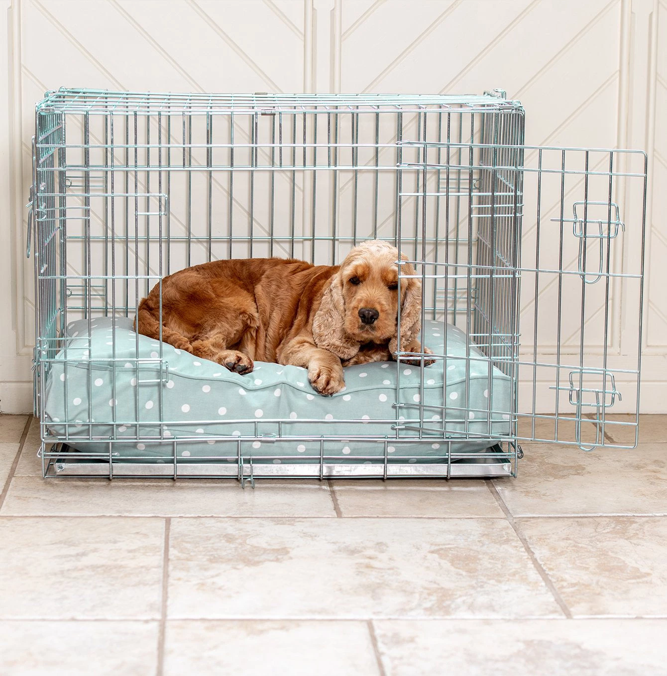 Best Sale 🥰 Personalised 🐕 Dog Cushion in Duck Egg Spot by Lords & Labradors ❤️ 1 Best Sale 🥰 Personalised 🐕 Dog Cushion in Duck Egg Spot by Lords & Labradors ❤️