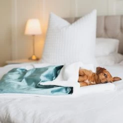 Promo ❤️ Dog & Puppy Velvet Blanket By Lords & Labradors 😉