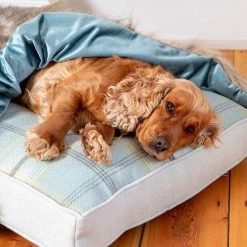 Best Pirce 😉 Lords & Labradors Duck Egg & Wolf Faux Fur 🦮 Dog & Puppy Blanket 🥰 6 Best Pirce 😉 Lords & Labradors Duck Egg & Wolf Faux Fur 🦮 Dog & Puppy Blanket 🥰 -Lords & Labradors Sales duck egg wolf faux fur blanket