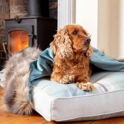 Best Pirce ๐ Lords & Labradors Duck Egg & Wolf Faux Fur ๐ฆฎ Dog & Puppy Blanket ๐ฅฐ