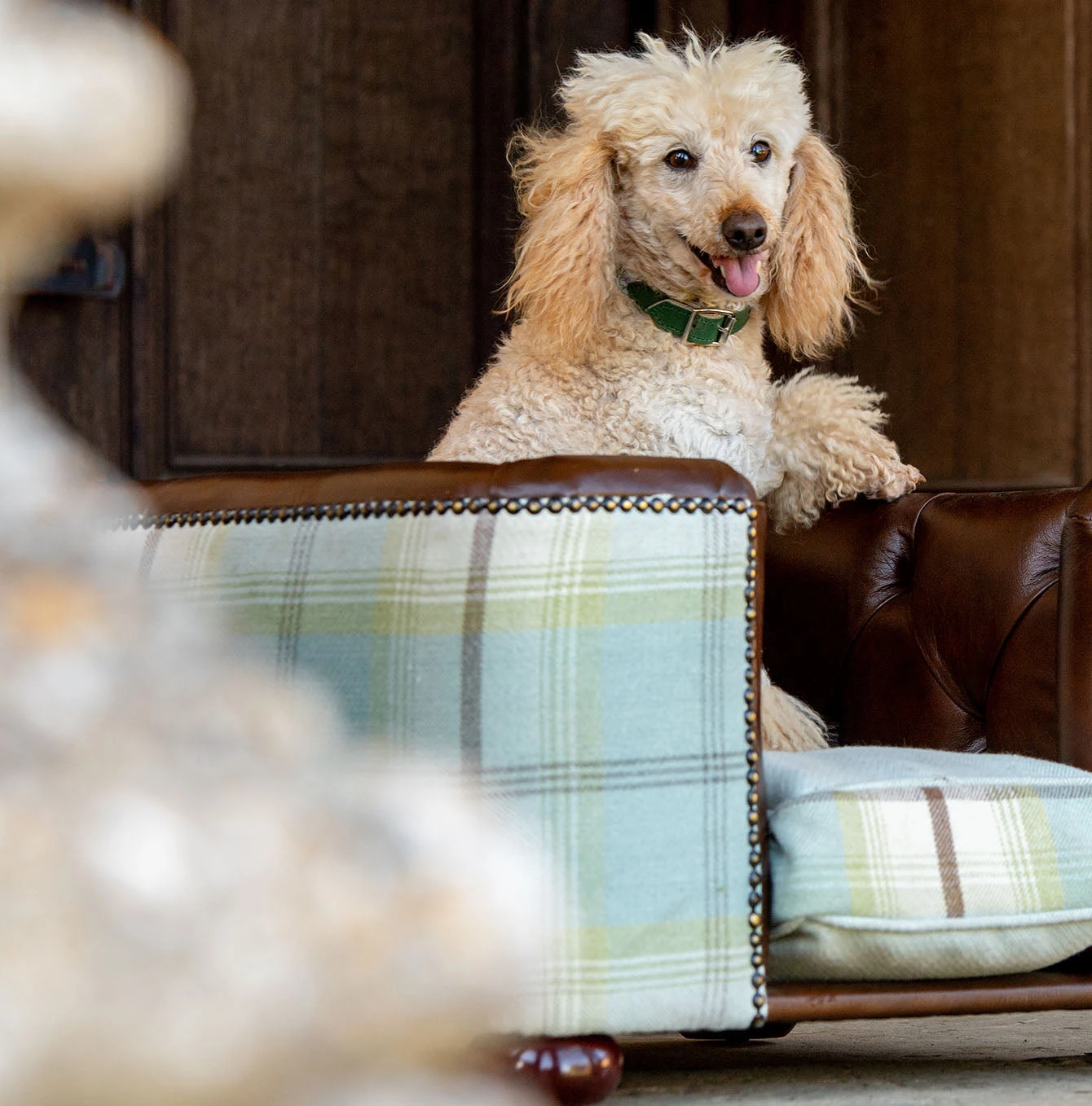 Flash Sale 👍 Lords & Labradors Tetford 🐕 Dog Chesterfield in Tan Leather & Duck Egg Tweed 🛒 5 Flash Sale 👍 Lords & Labradors Tetford 🐕 Dog Chesterfield in Tan Leather & Duck Egg Tweed 🛒 - Image 5