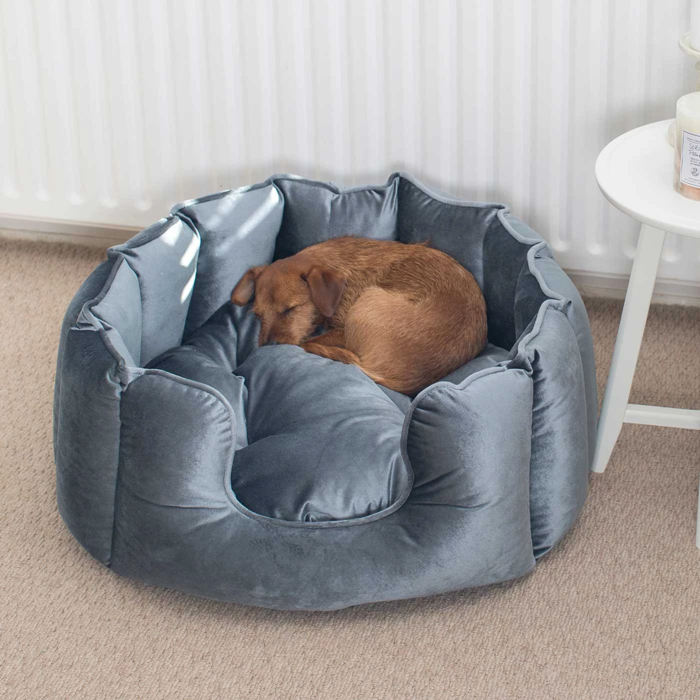 Best deal โค๏ธ Lords & Labradors High Wall Luxury Velvet Bed For ๐ Dogs โ 8 Best deal โค๏ธ Lords & Labradors High Wall Luxury Velvet Bed For ๐ Dogs โ - Image 8