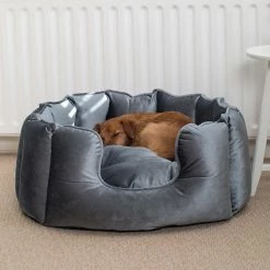 Best deal โค๏ธ Lords & Labradors High Wall Luxury Velvet Bed For ๐ Dogs โ 21 Best deal โค๏ธ Lords & Labradors High Wall Luxury Velvet Bed For ๐ Dogs โ -Lords & Labradors Sales elephant velvet high wall bed