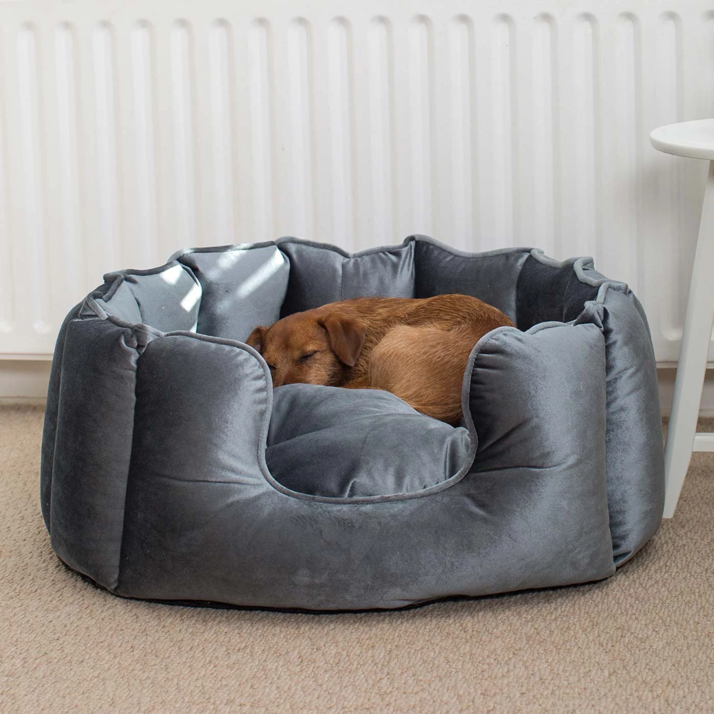 Best deal โค๏ธ Lords & Labradors High Wall Luxury Velvet Bed For ๐ Dogs โ 10 Best deal โค๏ธ Lords & Labradors High Wall Luxury Velvet Bed For ๐ Dogs โ - Image 10