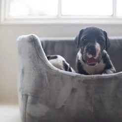 Wholesale 🥰 Grey Grow With Me Puppy Bed By Lords & Labradors 💯 -Lords & Labradors Sales grow with me puppy bed by lords labradors front view