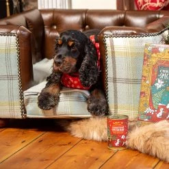 Flash Sale 👍 Lords & Labradors Tetford 🐕 Dog Chesterfield in Tan Leather & Duck Egg Tweed 🛒 15 Flash Sale 👍 Lords & Labradors Tetford 🐕 Dog Chesterfield in Tan Leather & Duck Egg Tweed 🛒 -Lords & Labradors Sales half duck egg