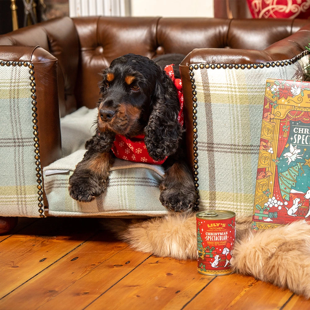 Flash Sale 👍 Lords & Labradors Tetford 🐕 Dog Chesterfield in Tan Leather & Duck Egg Tweed 🛒 8 Flash Sale 👍 Lords & Labradors Tetford 🐕 Dog Chesterfield in Tan Leather & Duck Egg Tweed 🛒 - Image 8