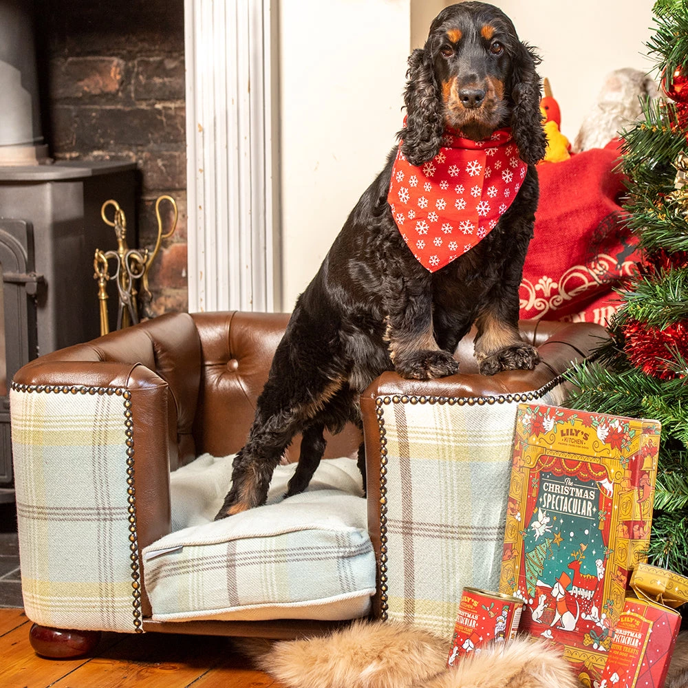 Flash Sale 👍 Lords & Labradors Tetford 🐕 Dog Chesterfield in Tan Leather & Duck Egg Tweed 🛒 3 Flash Sale 👍 Lords & Labradors Tetford 🐕 Dog Chesterfield in Tan Leather & Duck Egg Tweed 🛒 - Image 3