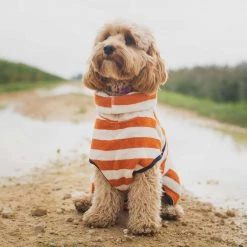 Lords & Labradors Sales -Lords & Labradors Sales harbour hounds orange stripe drying robe