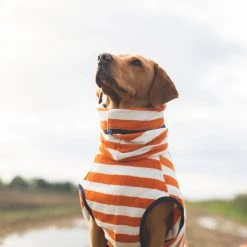 Best Pirce ✨ Harbour Hounds Orange Stripe Drying 🧥 Coat ✔️ -Lords & Labradors Sales harbour hounds orange stripe drying robe labrador 1