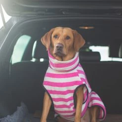 Coupon ❤️ Harbour Hounds Pink Stripe Drying 🧥 Coat 🎉