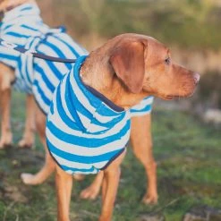 Brand new 👍 Harbour Hounds Sea Blue Stripe Drying 🧥 Coat 🎉 -Lords & Labradors Sales harbour hounds sea blue drying coat front facing