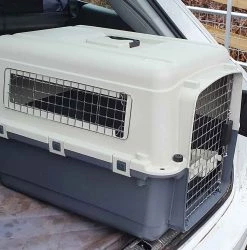 Buy 💯 Henry Wag Air Kennel ⌛ -Lords & Labradors Sales henry wag air kennel lifestyle side shot car boot