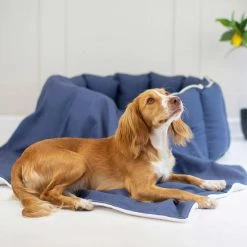 Outlet 🎉 Lords & Labradors High Wall Savanna Bed For 🐶 Dogs 🌟 -Lords & Labradors Sales high sided savanna bed for dogs