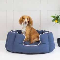 Outlet 🎉 Lords & Labradors High Wall Savanna Bed For 🐶 Dogs 🌟 -Lords & Labradors Sales high sided savanna bed for dogs indigo studio