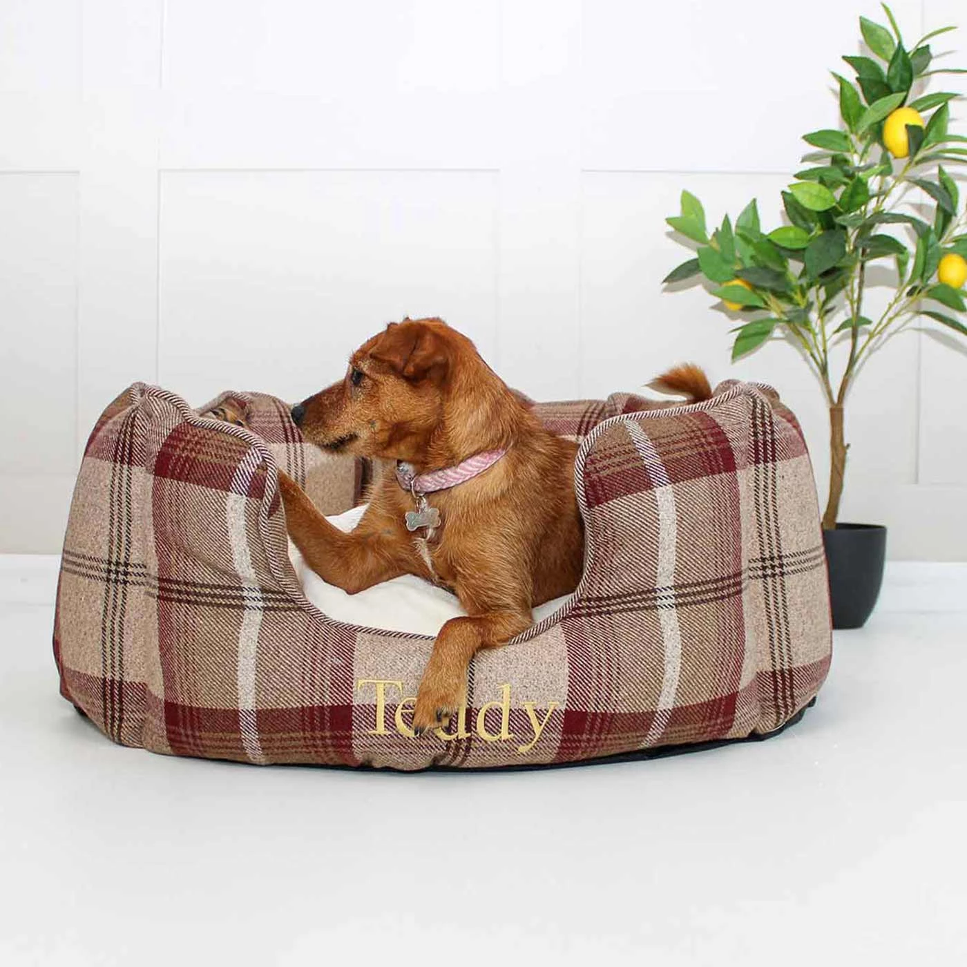 Cheap 🛒 Lords & Labradors High Wall Cosy Tweed Bed For 🐕 Dogs 🤩 1 Cheap 🛒 Lords & Labradors High Wall Cosy Tweed Bed For 🐕 Dogs 🤩