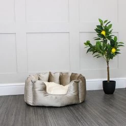 Best deal โค๏ธ Lords & Labradors High Wall Luxury Velvet Bed For ๐ Dogs โ 20 Best deal โค๏ธ Lords & Labradors High Wall Luxury Velvet Bed For ๐ Dogs โ -Lords & Labradors Sales high wall luxury velvet bed for dogs mushroom