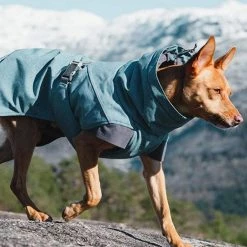 Best Sale ๐คฉ Hurtta Expedition Parka ๐