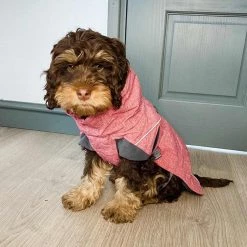 Best Sale 🤩 Hurtta Expedition Parka 😍 -Lords & Labradors Sales hurtta expedition parka burgundy lifestyle