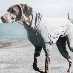 Cheap โค๏ธ Hurtta Outdoors Body Warmer ๐