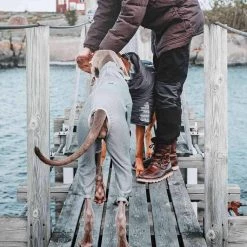 Cheap ❤️ Hurtta Outdoors Body Warmer 🎉 -Lords & Labradors Sales hurtta outdoors body warmer dog lifestyle