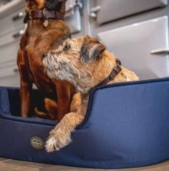 Outlet ✔️ Le Chameau 🐕 Dog Bed 🎁 -Lords & Labradors Sales le chameau bleau dog bed lifestyle
