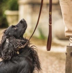 Outlet 👍 Le Chameau Marron 🐕 Dog Lead 🥰