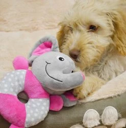 Coupon 😀 Lords & Labradors Puppy Essentials Pack - Large/Giant Breeds 🧨 -Lords & Labradors Sales little rascals play ring elephant lifestyle 2 c775f610 f293 405d afbb 5795fa746cc0