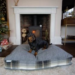 Best deal ๐ฅฐ Dog Cushion in Balmoral Charcoal Tweed by Lords & Labradors ๐ 7 Best deal ๐ฅฐ Dog Cushion in Balmoral Charcoal Tweed by Lords & Labradors ๐ -Lords & Labradors Sales lords and labradors charcoal tweed crate cushion with dachshund sitting