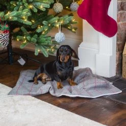 Cheap 🎉 Dog & Puppy Cherry Tweed Blanket By Lords & Labradors ✨