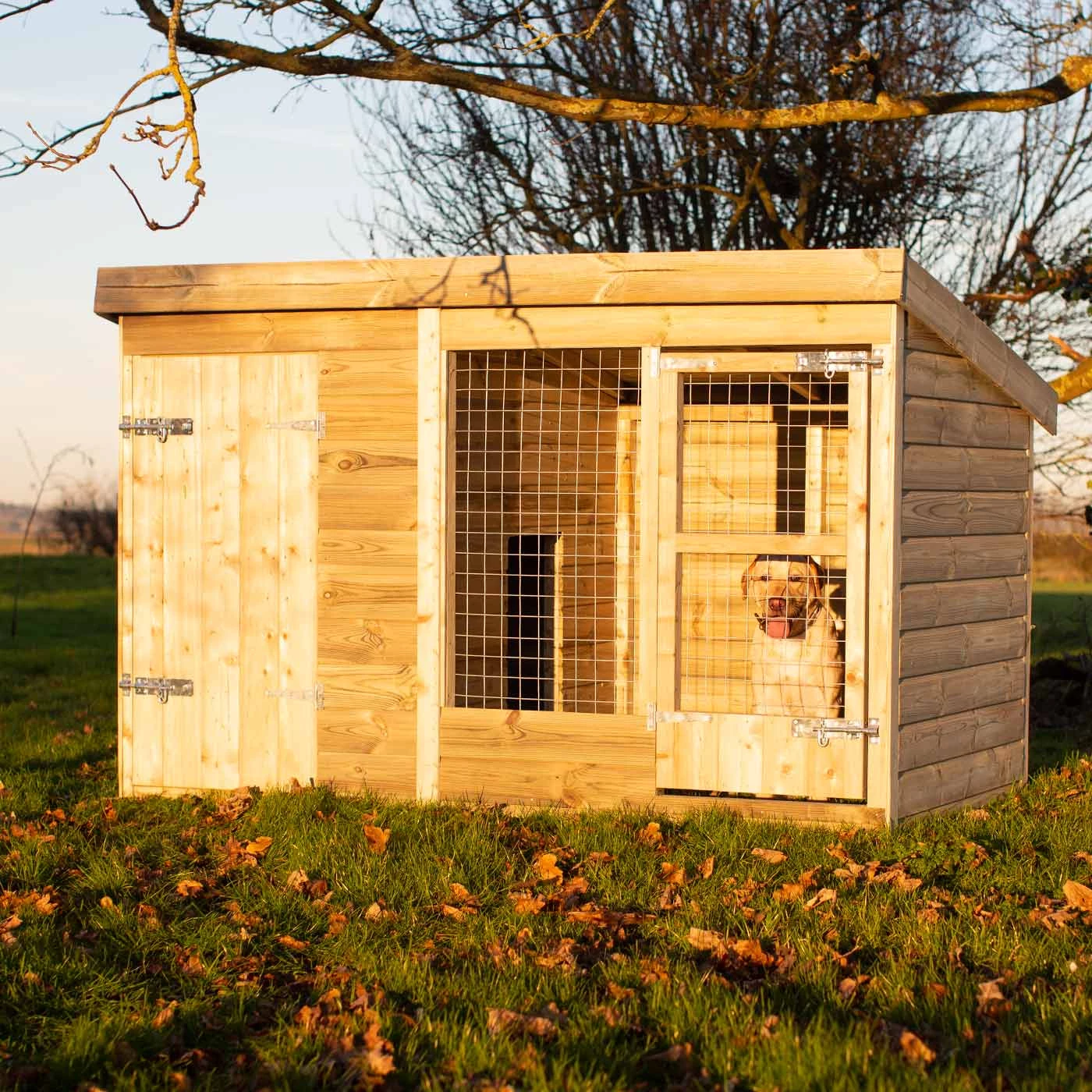 Outlet ๐ Lords & Labradors Luxury Outdoor ๐ถ Dog Kennel ๐ 2 Outlet ๐ Lords & Labradors Luxury Outdoor ๐ถ Dog Kennel ๐ - Image 2