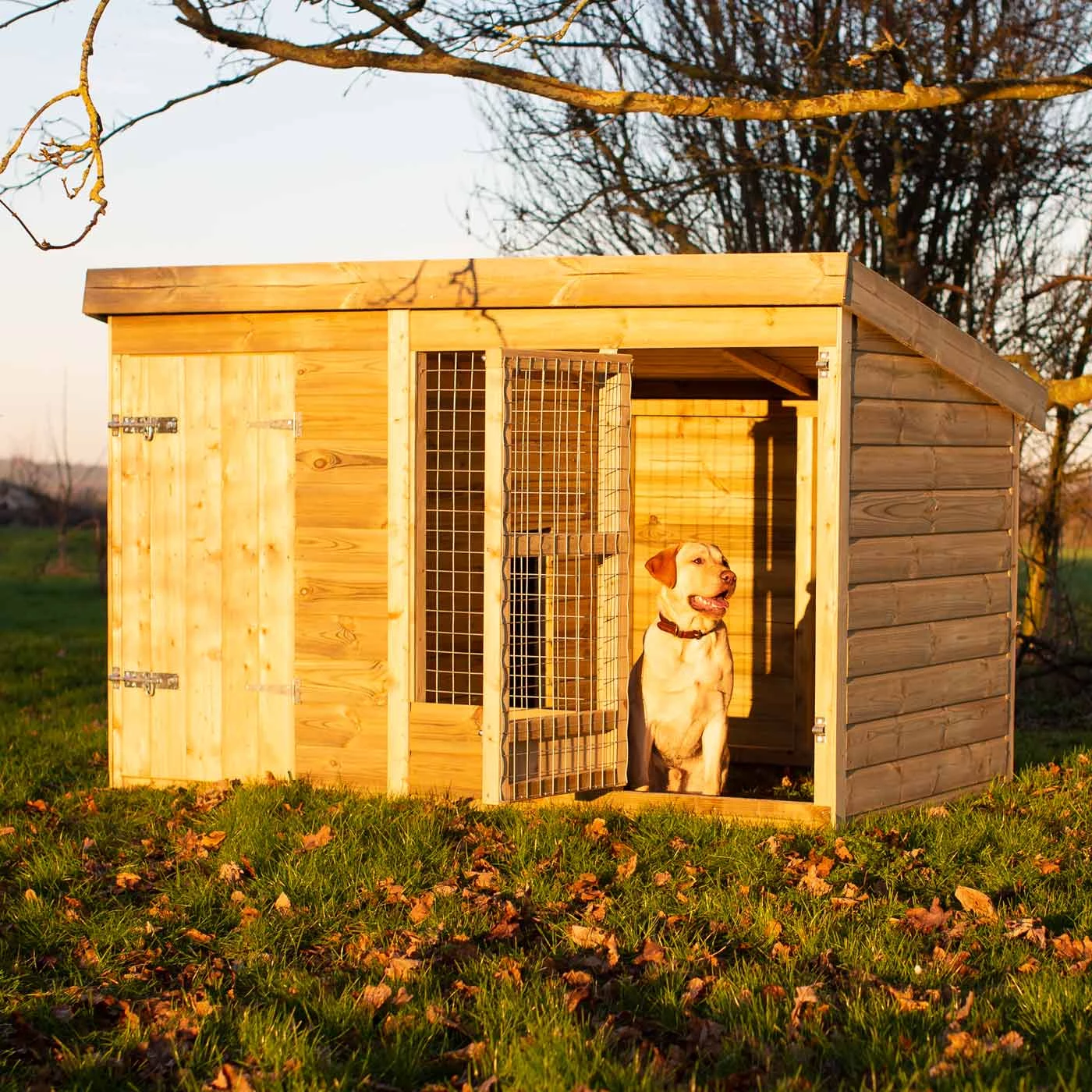 Outlet ๐ Lords & Labradors Luxury Outdoor ๐ถ Dog Kennel ๐ 1 Outlet ๐ Lords & Labradors Luxury Outdoor ๐ถ Dog Kennel ๐