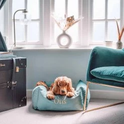 Coupon 🧨 Lords & Labradors Luxury Velvet Box Bed For 🐕 Dogs ⭐ -Lords & Labradors Sales lords and labradors luxury velvet box bed for dogs lifestyle room