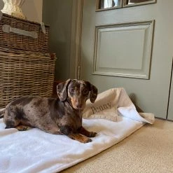 Coupon ๐งจ Personalised ๐ถ Dog & Puppy Savanna Blanket By Lords & Labradors ๐