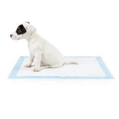 Promo 😍 Lords & Labradors Puppy Essentials Pack - Toy/Small Breeds 🌟 29 Promo 😍 Lords & Labradors Puppy Essentials Pack - Toy/Small Breeds 🌟 -Lords & Labradors Sales lords and labradors puppy pack puppy studio 1 2ffa61cc e68b 4ab3 9408 0e4d4e1d65c2