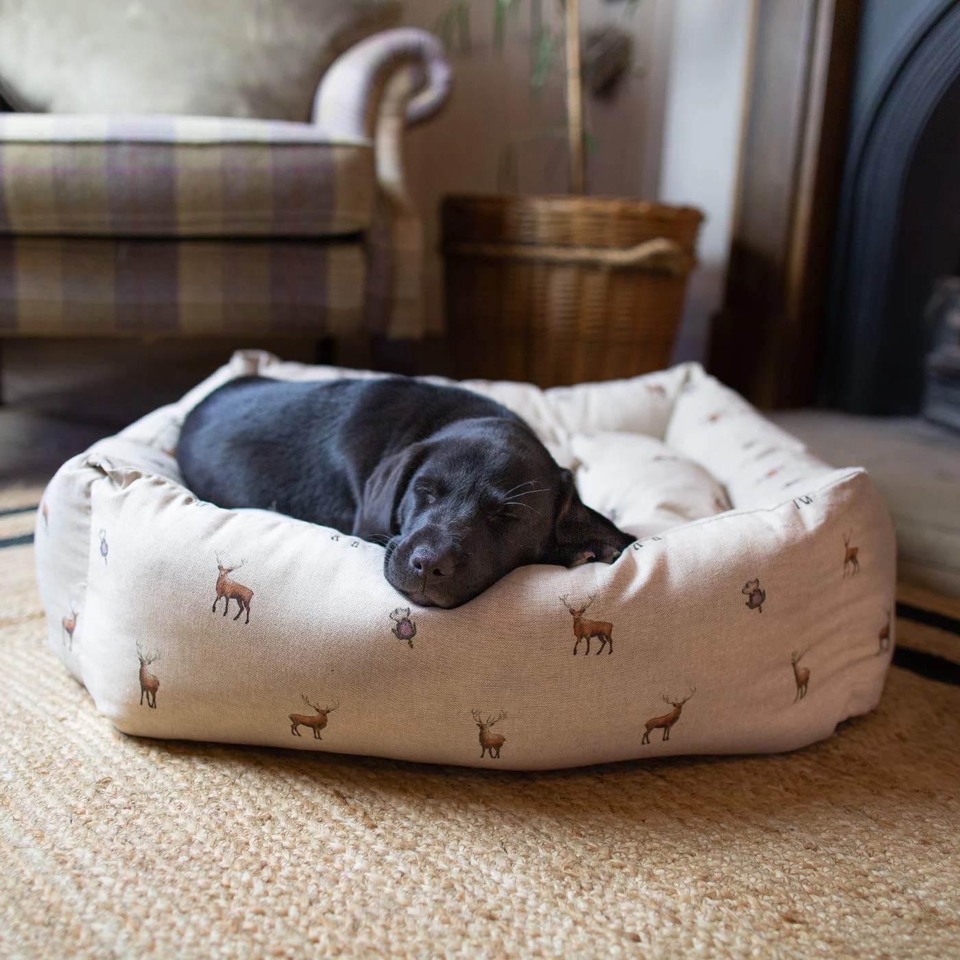 Top 10 💯 Lords & Labradors Woodlands Collection Box Bed For 🐕 Dogs ✨ 1 Top 10 💯 Lords & Labradors Woodlands Collection Box Bed For 🐕 Dogs ✨