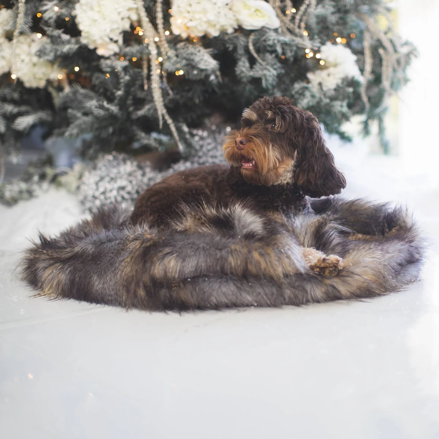 Wholesale โ Lords & Labradors Faux Fur Snuggle Sleeping Bag in Wolf Fur ๐ฅ 1 Wholesale โ Lords & Labradors Faux Fur Snuggle Sleeping Bag in Wolf Fur ๐ฅ