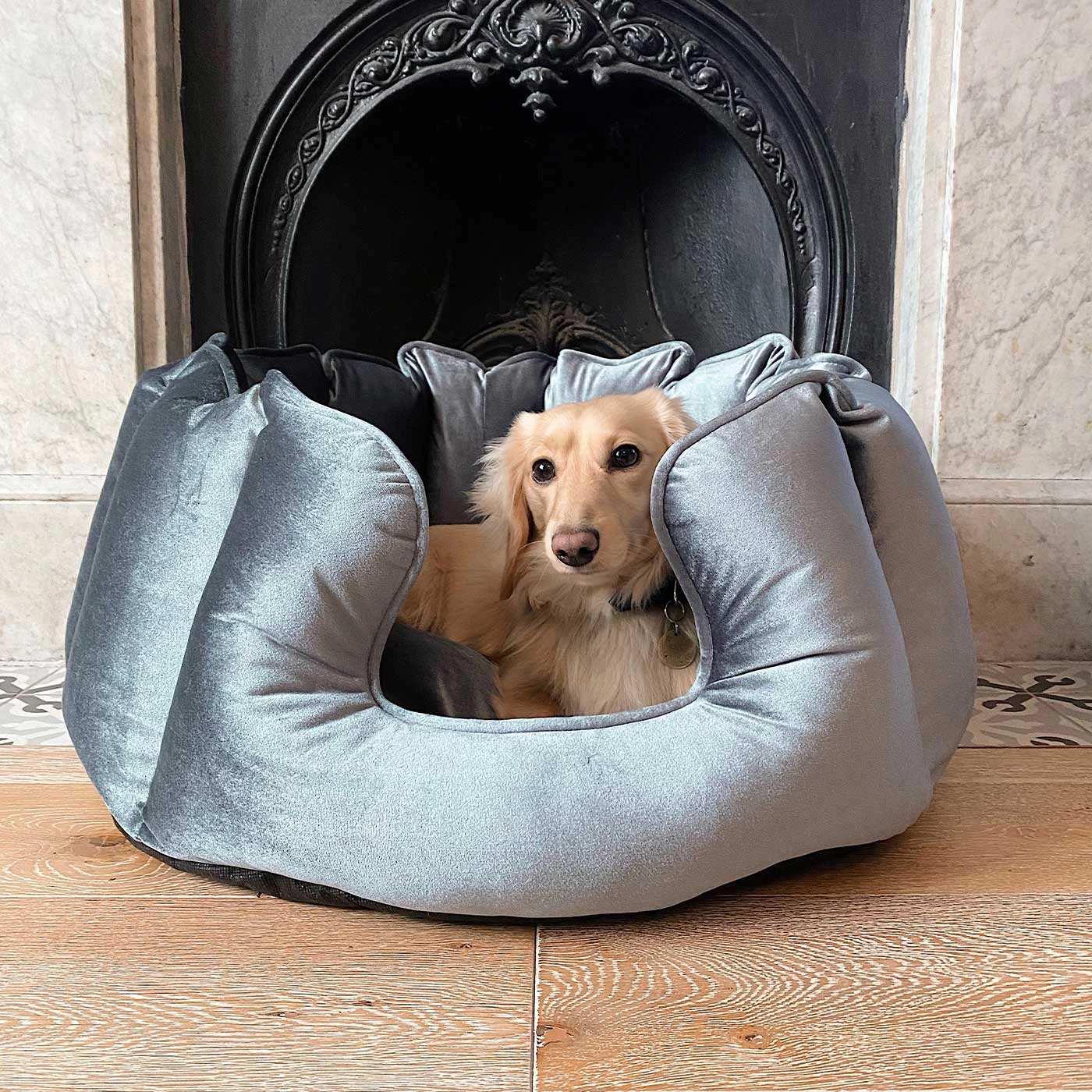 Best deal โค๏ธ Lords & Labradors High Wall Luxury Velvet Bed For ๐ Dogs โ 11 Best deal โค๏ธ Lords & Labradors High Wall Luxury Velvet Bed For ๐ Dogs โ - Image 11