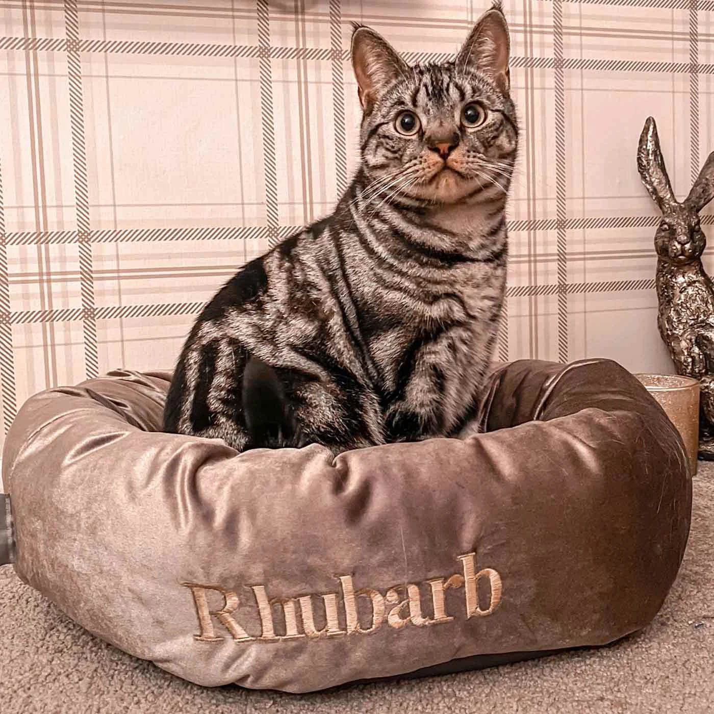 Coupon ๐ Lords & Labradors Luxury Mink Velvet Cat Donut Bed ๐ฅ 1 Coupon ๐ Lords & Labradors Luxury Mink Velvet Cat Donut Bed ๐ฅ