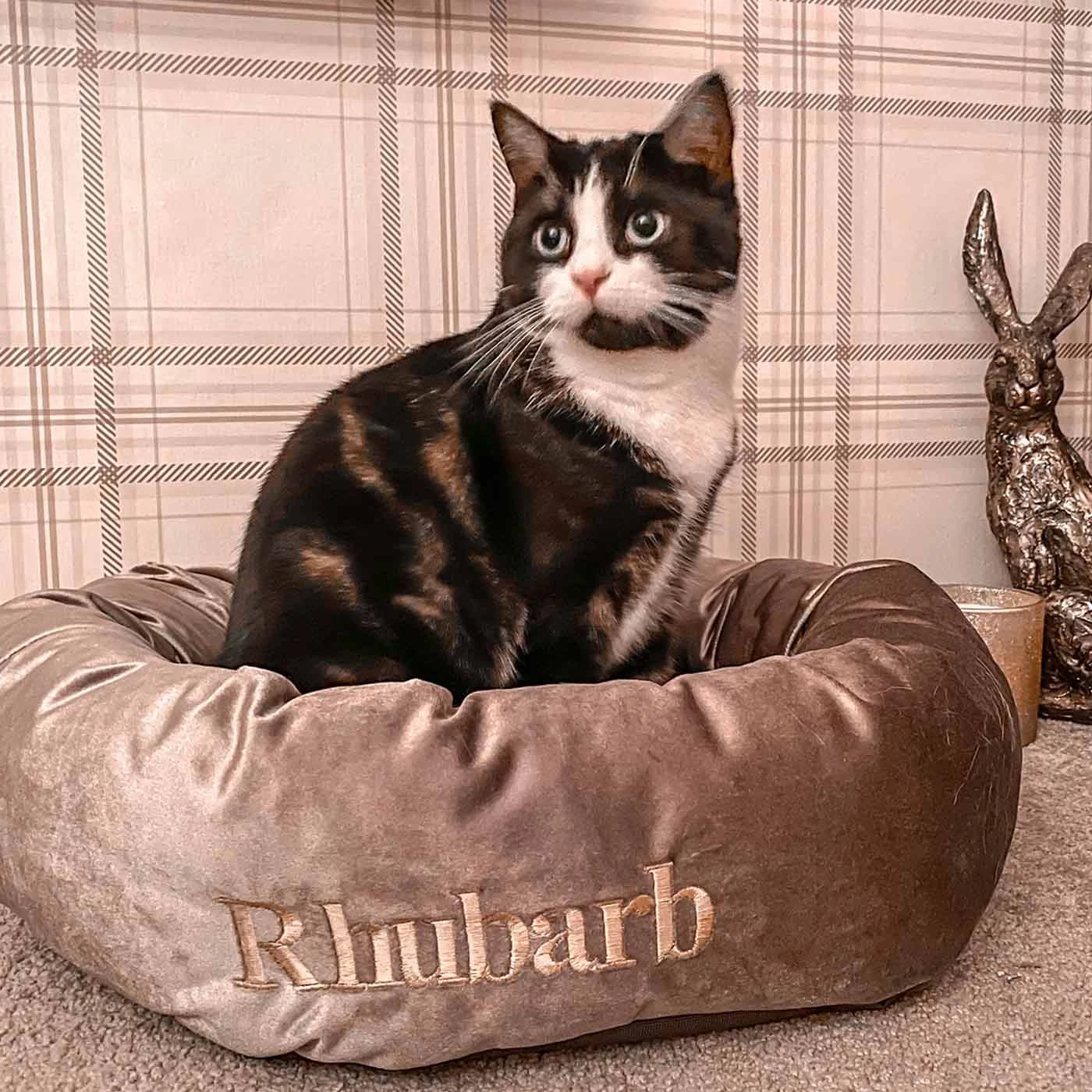 Coupon ๐ Lords & Labradors Luxury Mink Velvet Cat Donut Bed ๐ฅ 2 Coupon ๐ Lords & Labradors Luxury Mink Velvet Cat Donut Bed ๐ฅ - Image 2