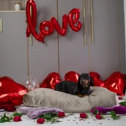 Flash Sale ๐คฉ Lords & Labradors Personalised Luxurious Velvet ๐ถ Dog Cushions โจ